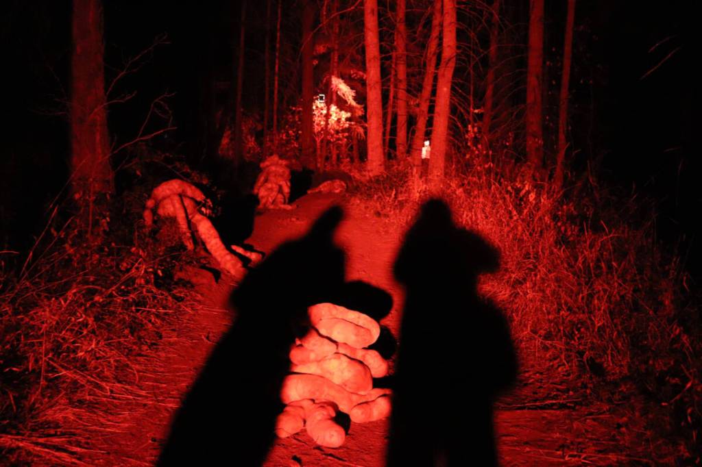 The Labyrinth is Caravan Farm Theatre’s thrilling forest walk featuring sounds and sights that will haunt long after the event, which runs nightly through to Oct. 30. (Jennifer Smith - Morning Star)