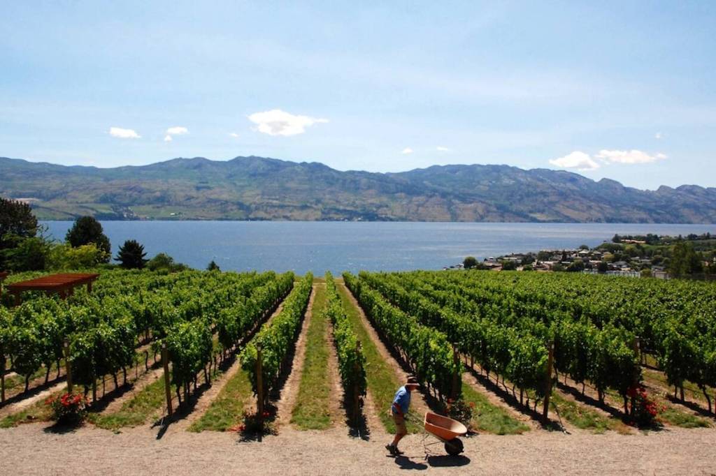 New B.C. drought measuring index concerning to water board staff